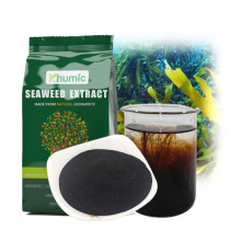 seaweed extract liquid organic fertilizer for plants